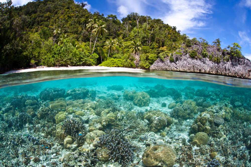 Papua Noua Guinee | Oceania | Croaziere