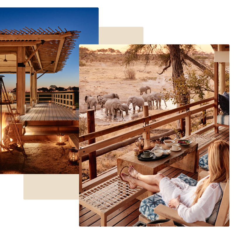 Excursii de neuitat in Africa - aventura safari continua 