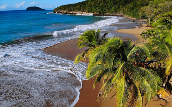 Guadeloupe sandy beach drone view. Caribbean vacation landscape. Perle Beach (Plage de la Perle 