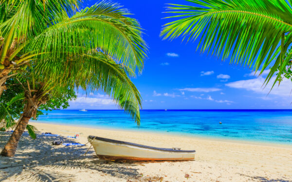 Dravuni Island, Fiji. Beach, boat and palm trees in the South Pacific ocean - 