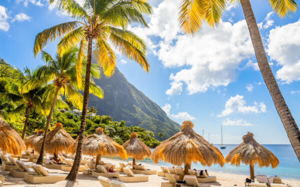 St. Lucia - Caribbean beach with palms